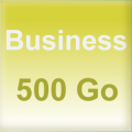 Business 500 Go