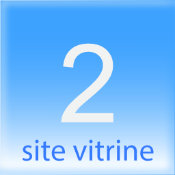 2 mots clefs site vitrine