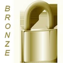 SSL Bronze