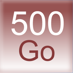 e-sauvegarde 500 Go