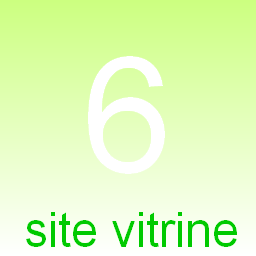 6 mots clefs site vitrine