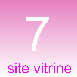 7 mots clefs site vitrine