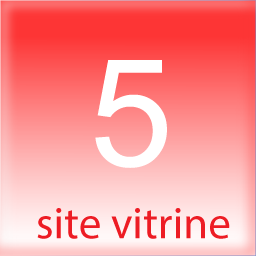 5 mots clefs site vitrine